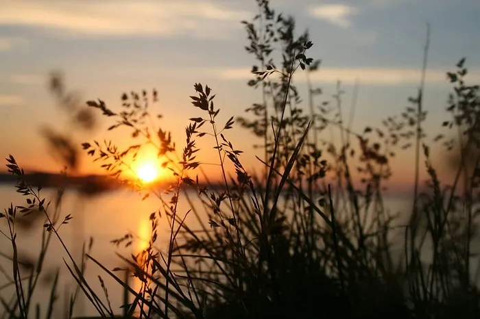 Living in Alignment: The Spiritual Truth of Being Exactly Where You Are