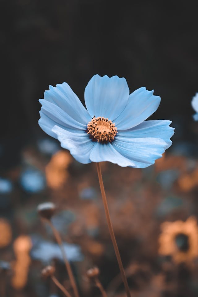 Finding Balance in Growth: Embracing Your Quirks and Letting Go of Perfection