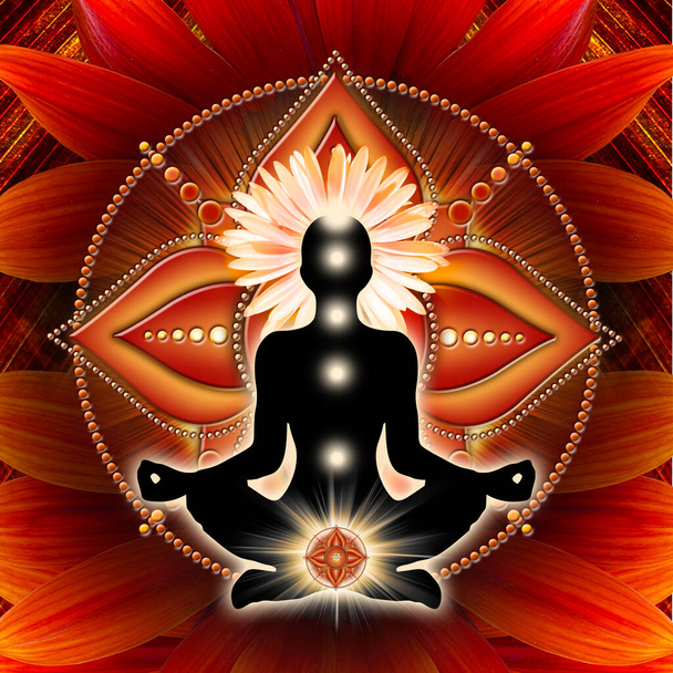 Understanding the Root Chakra: How to Harness Grounding Energy for a Balanced Life