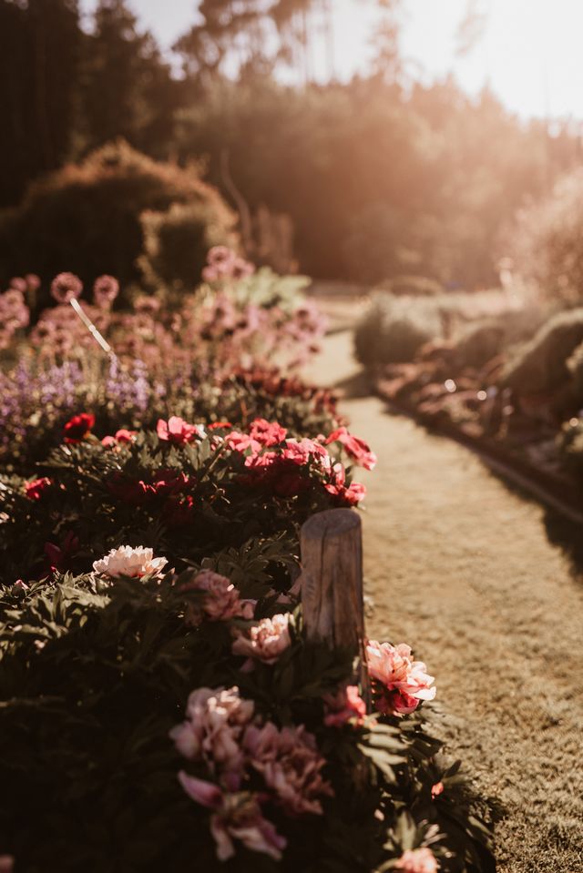 Cultivating a Meaningful Life: When to Sow, Grow, and Let Go