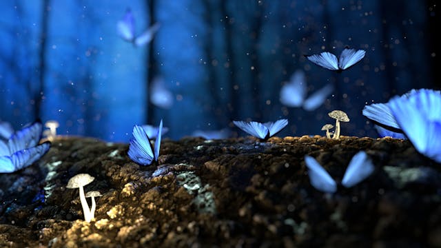 The 12 Magical Nights Ritual: A Sacred Practice to Welcome the New Year