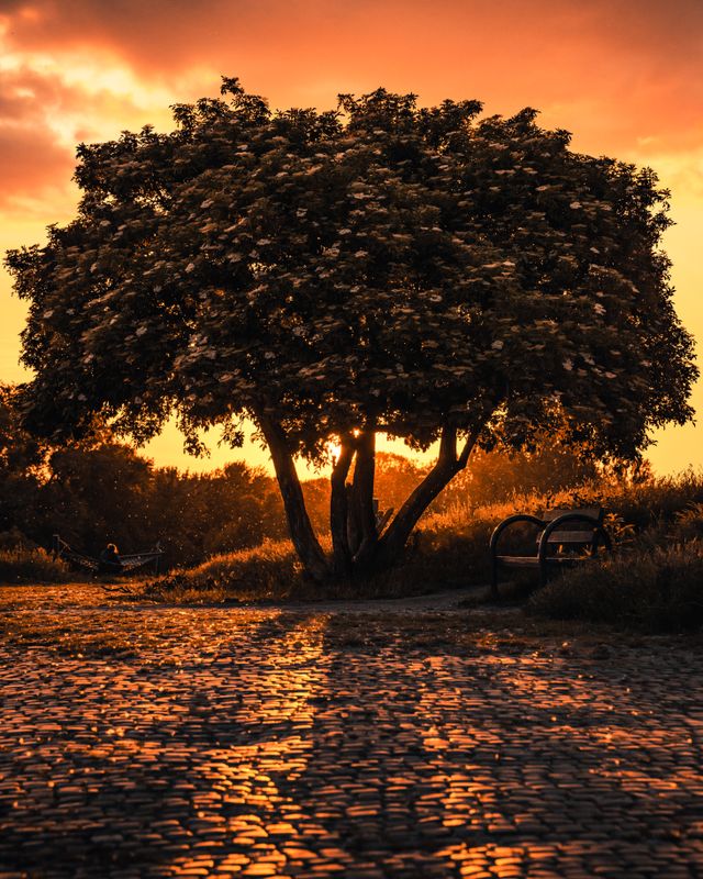 The Beauty of Balance: Finding Harmony in Life’s Ups and Downs