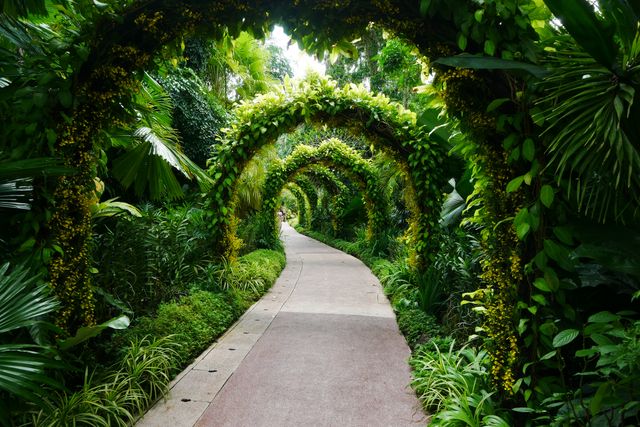 Life’s Pathways: Mindful Steps to Building Your Path Forward